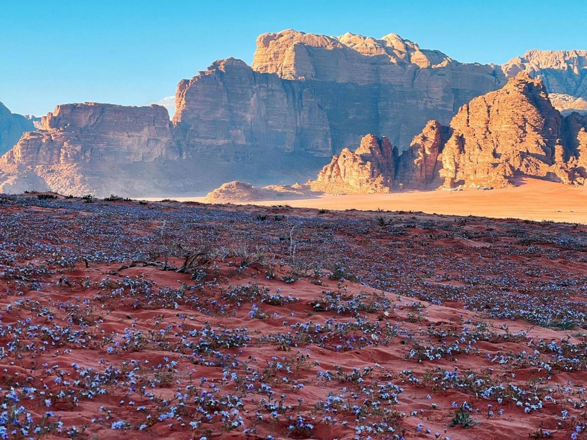 Wadi Rum Camp Exterior photo