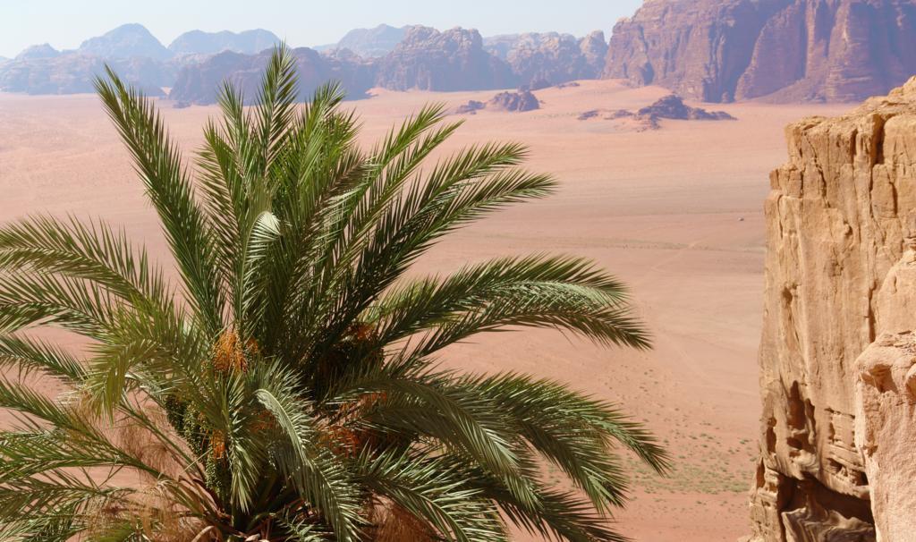 Wadi Rum Camp Exterior photo